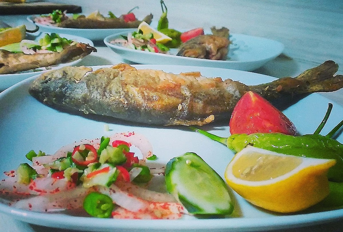 Karacasu Alabalık Tesisleri